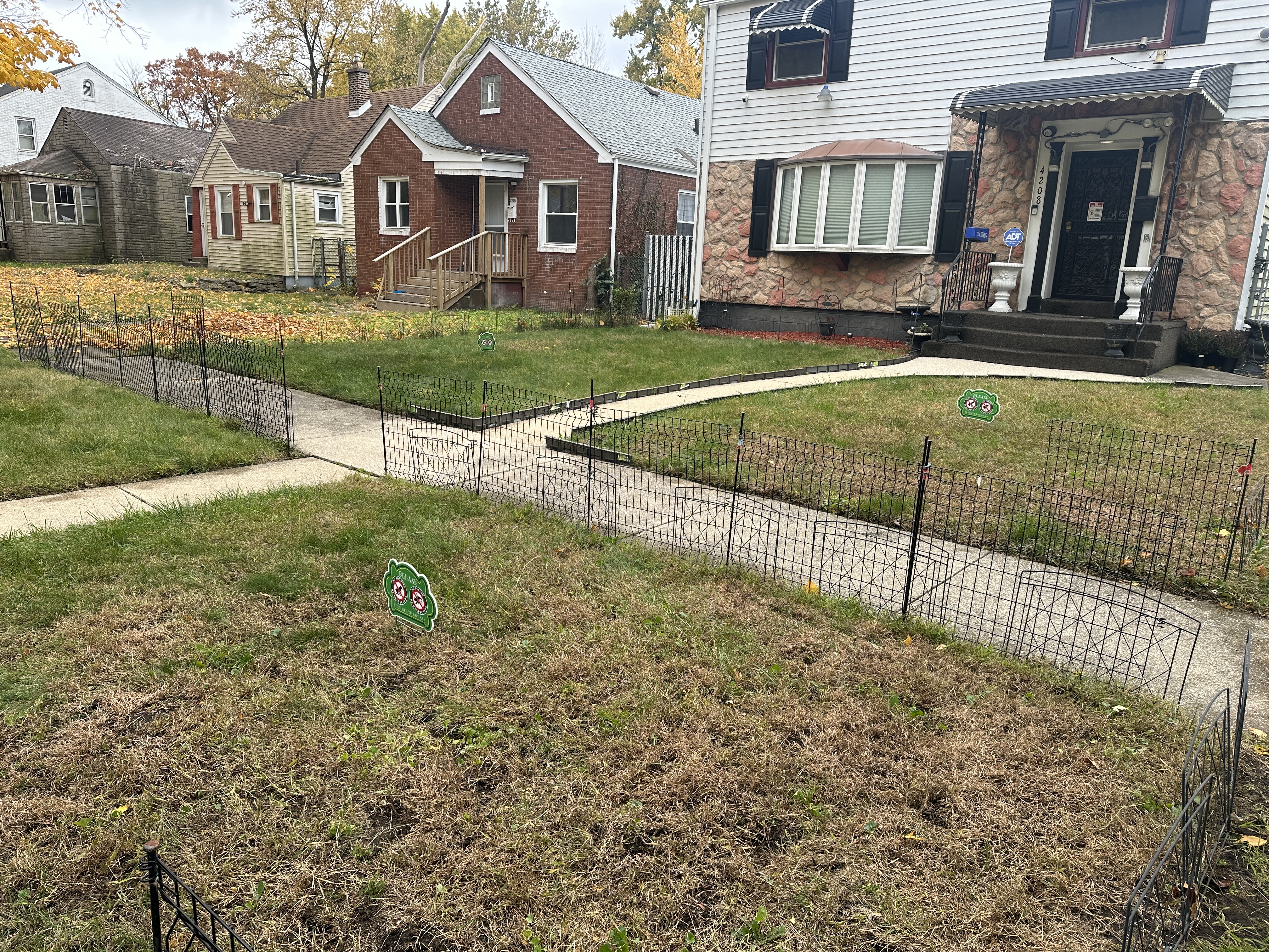 After - Leaf cleanup 