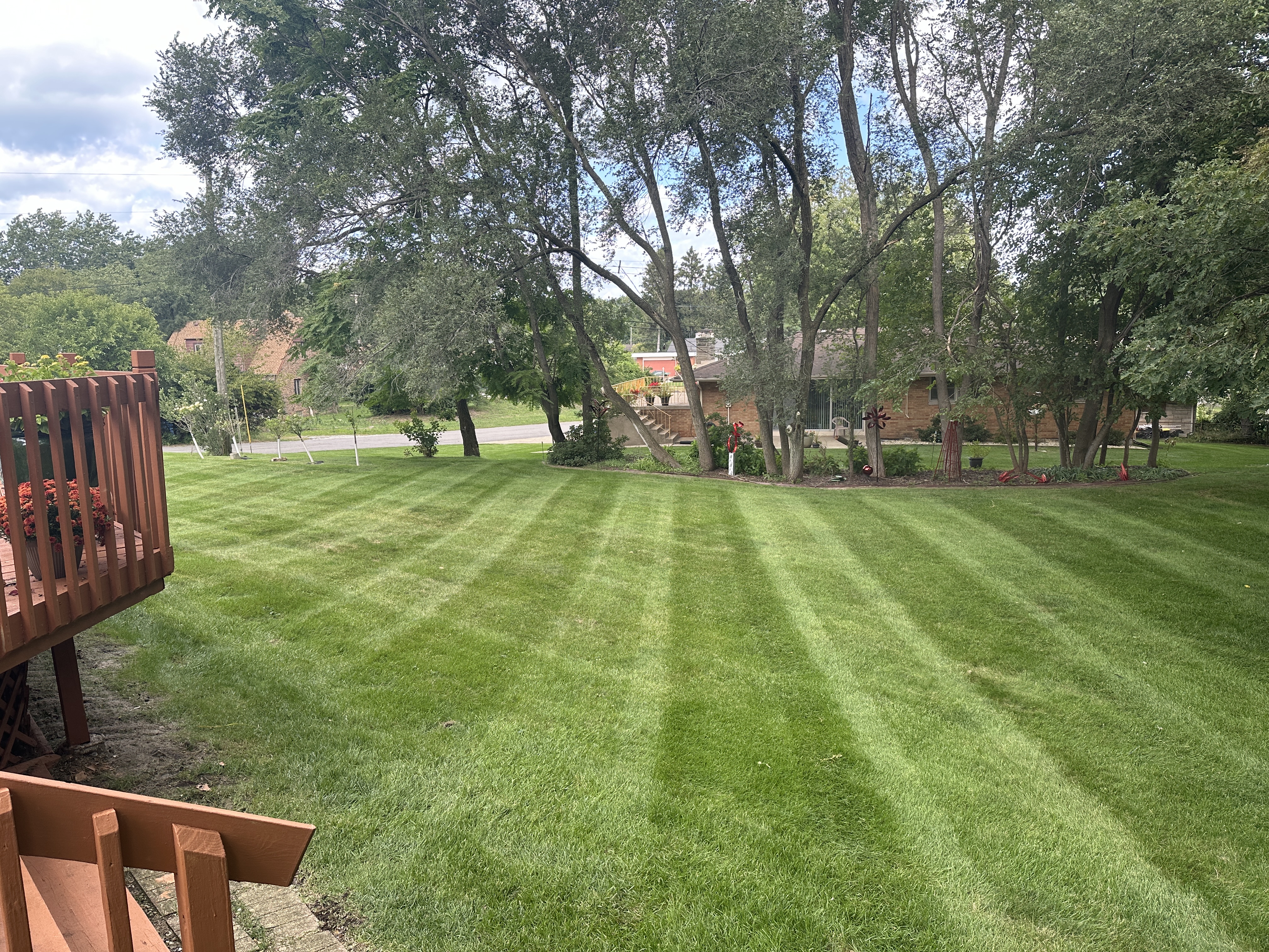 After - Weekly Mow
