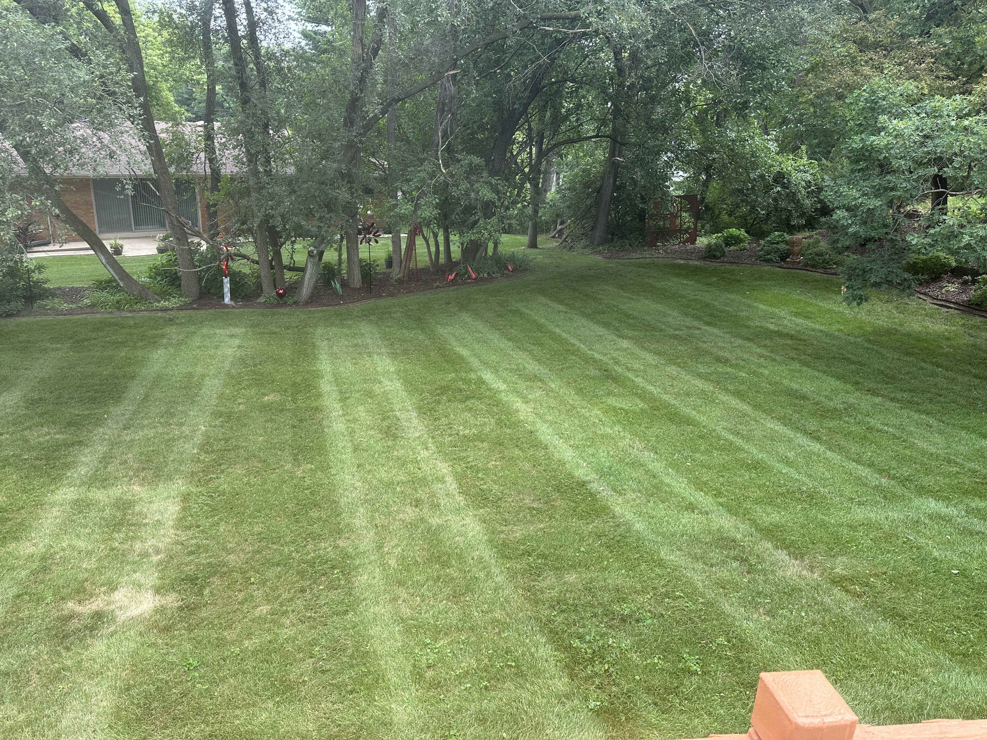 Before - Weekly Mow