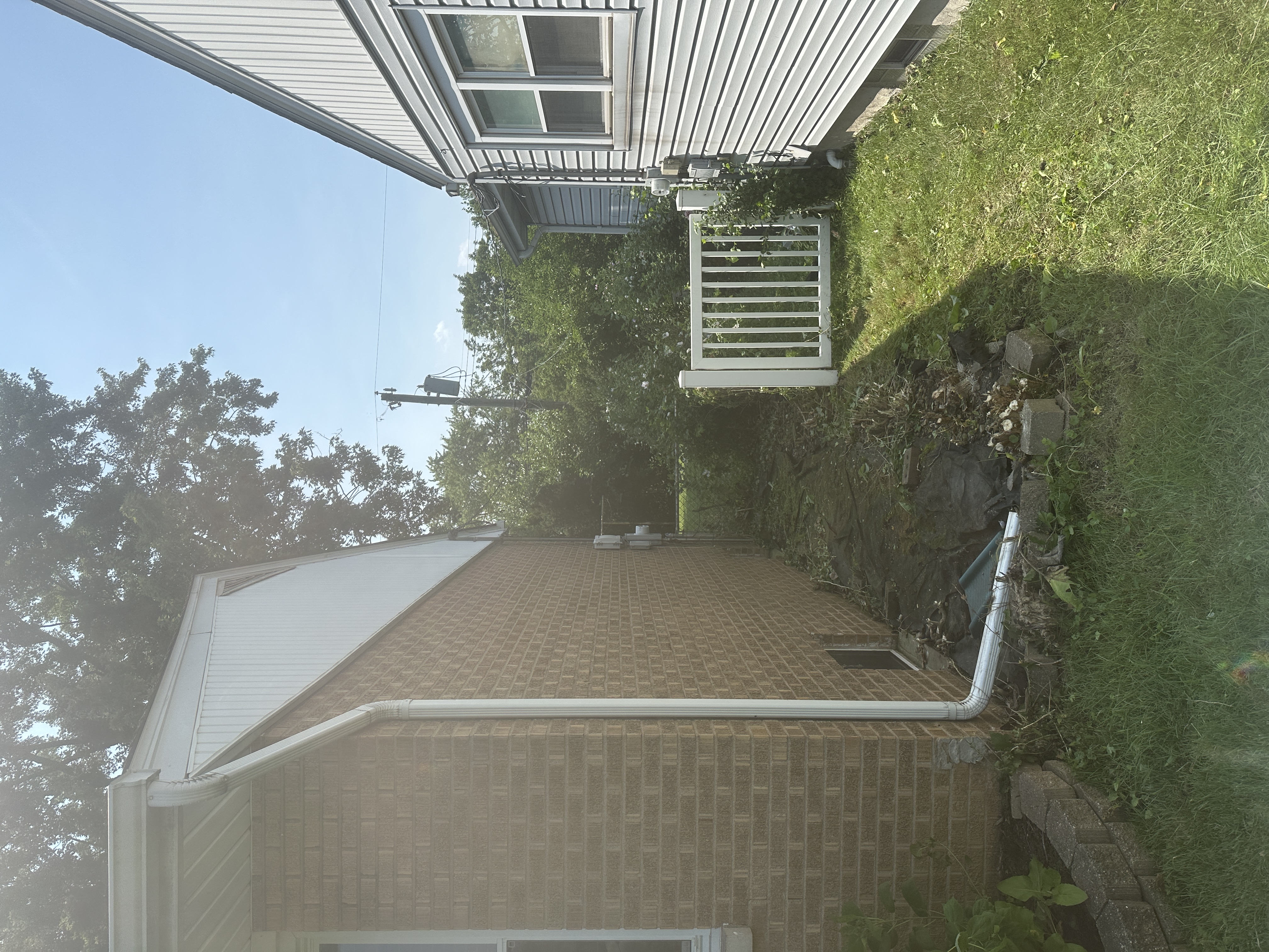 After - Overgrowth Removal