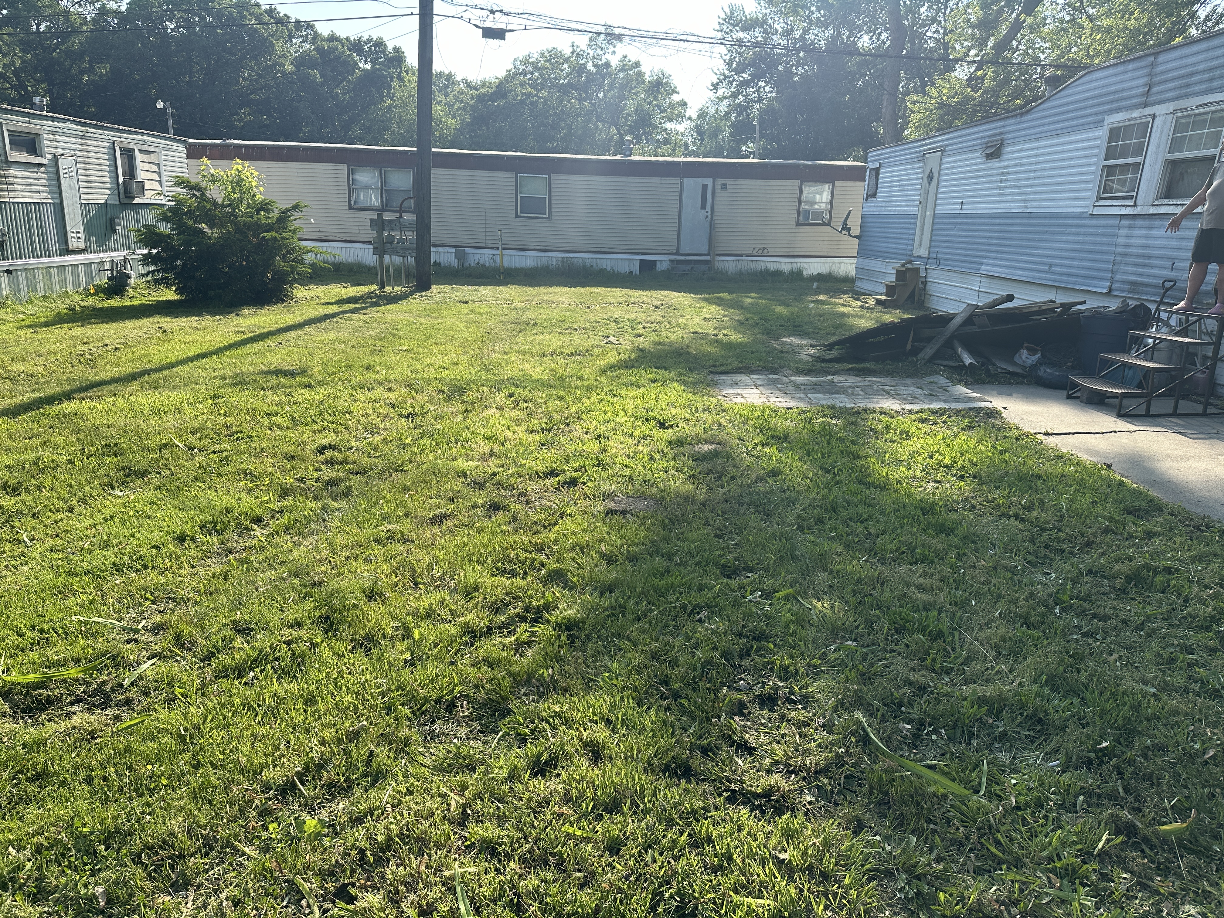 After - Overgrown lawn 