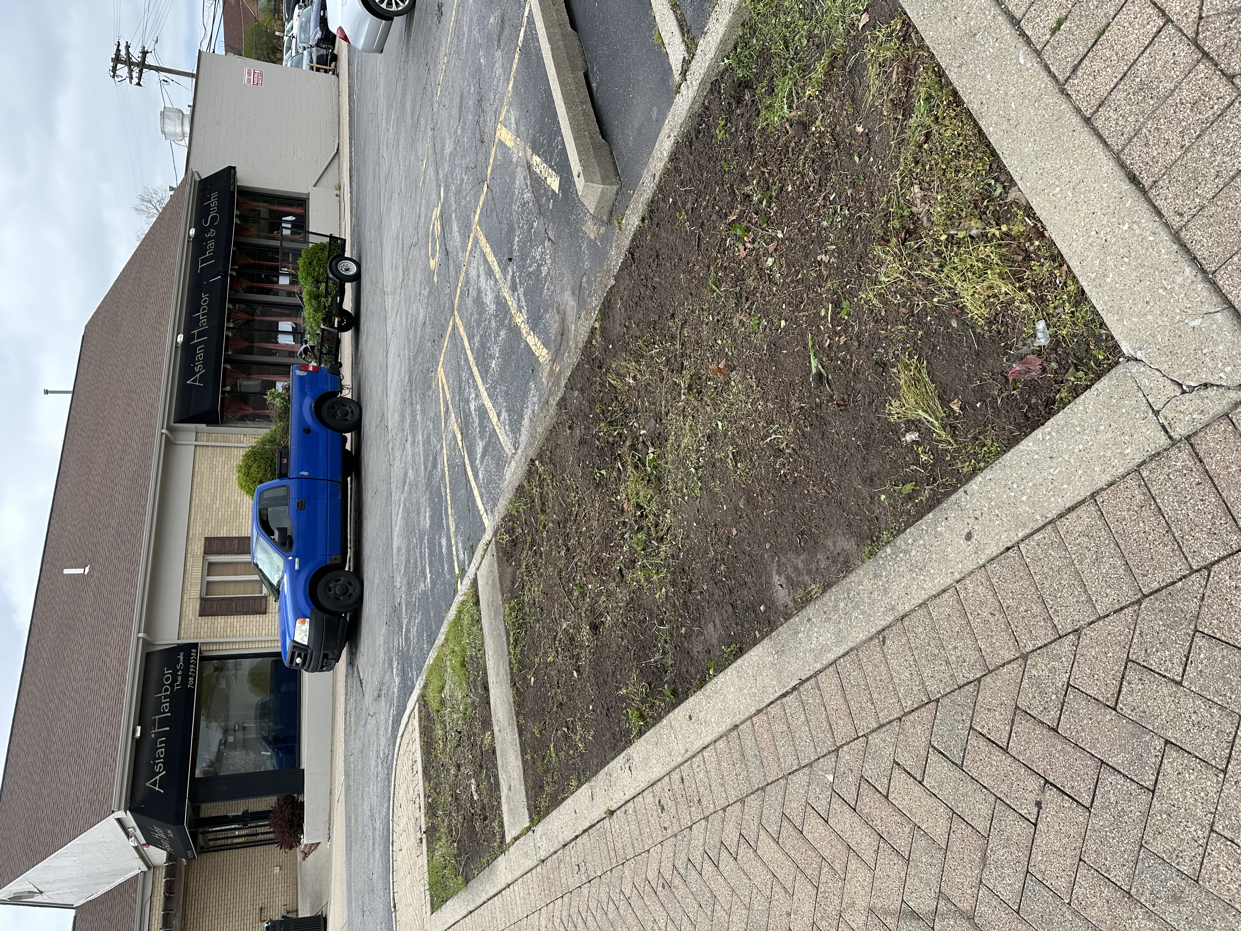 After - Bush removal 