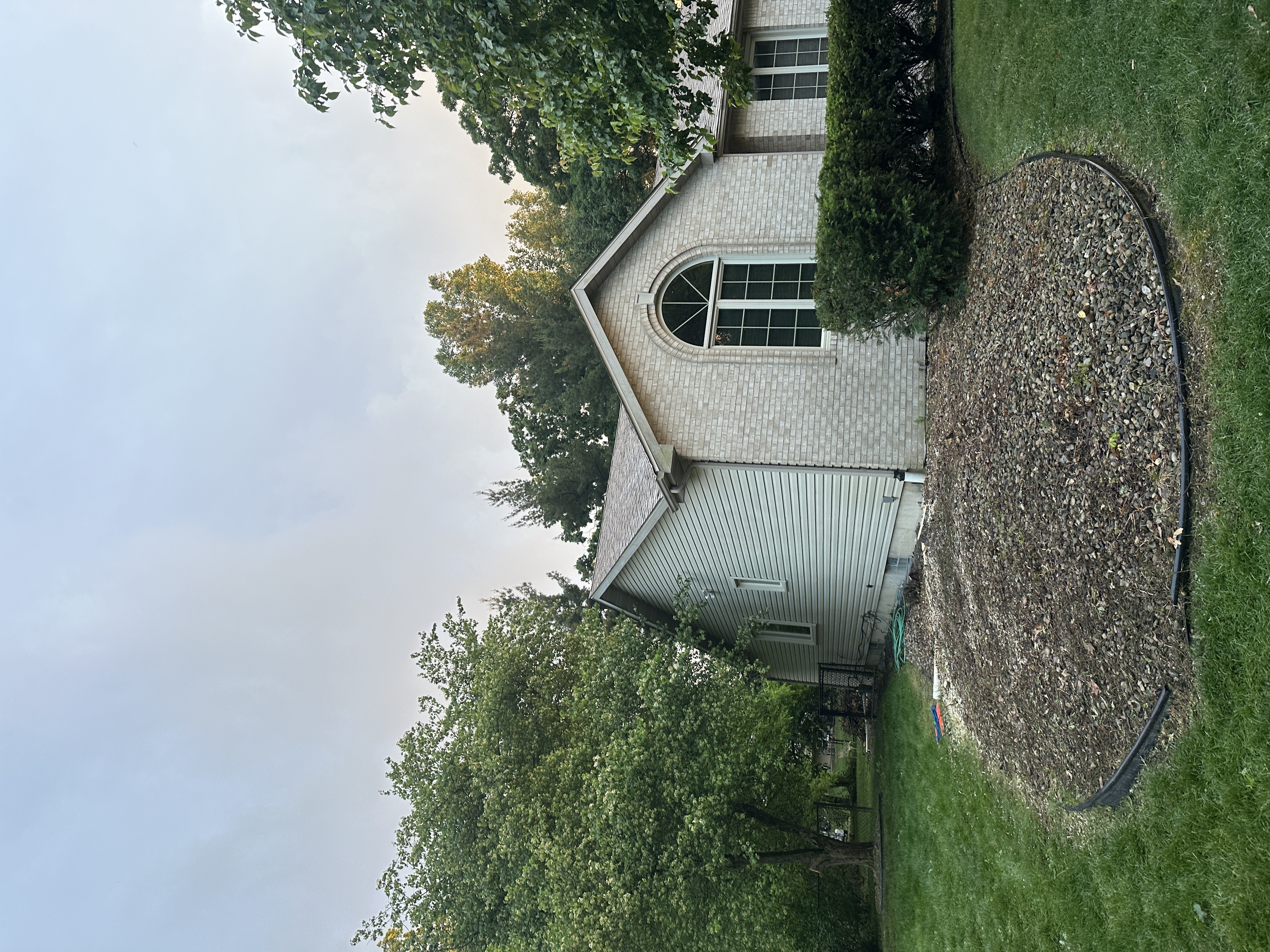 After - Tree removal 