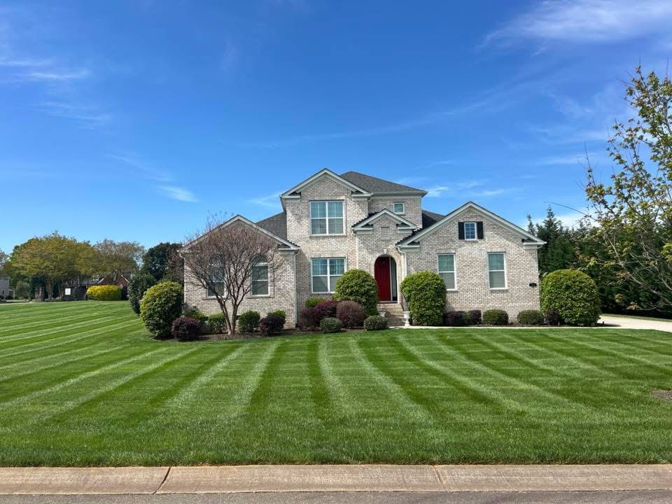 Professional lawn care